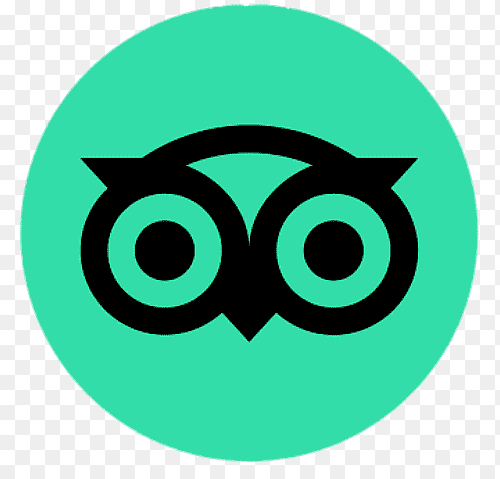 https://connectsingularity.com/